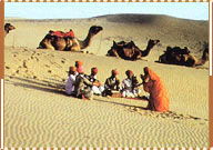 Desert Festival, Jaisalmer Travel Guide