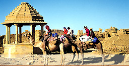 Camel Safari, Rajasthan Travel Guide