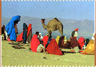 Camel Fair, Pushkar Travel Guide